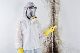 Why You Should Choose Our Mold Remediation Services in Long Beach, CA